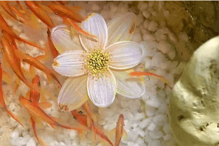 樹脂畫，滲透劑